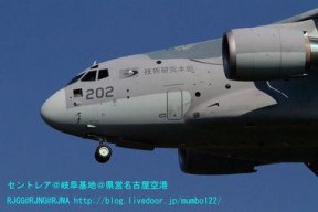 日本亚洲国产,亚洲国度的文化瑰宝与经济引擎